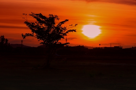 sunset beautiful colorful landscape in blue sky evening nature twilight time and silhouette treeの写真素材