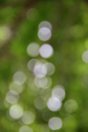Bokeh abstract beautiful nature warm background with copy space.の写真素材