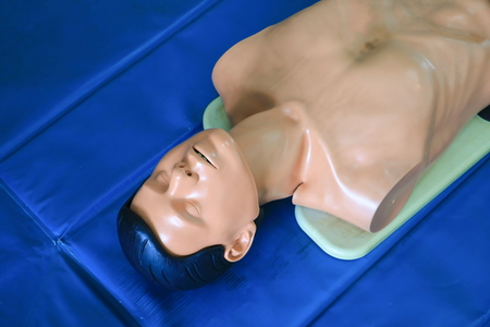 CPR dummy training for emergency refresher training to assistの写真素材