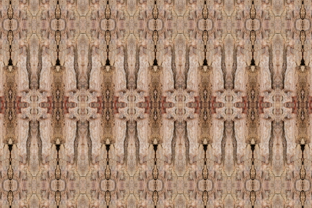 tree bark texture pattern. wood rind for background