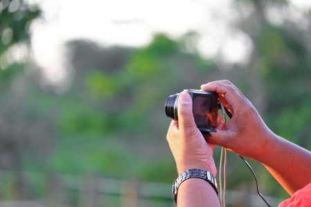 hand holding camera photograph in nature backgroundの写真素材