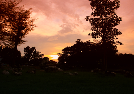 silhouette of tree and branch at sunset light yellow - orange in sky beautiful landscape on natureの写真素材