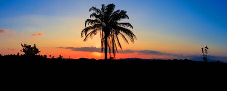 panorama view silhouette coconut tree in sunset on sky beautiful colorful landscape and city...