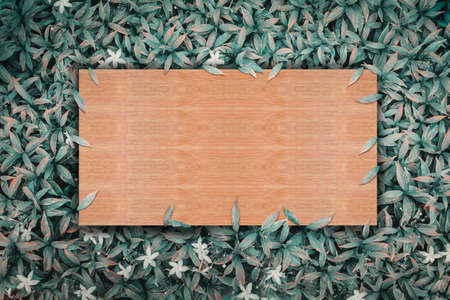 wooden sheet on green leaves nature background