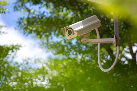 surveillance camera on the tree with blue sky