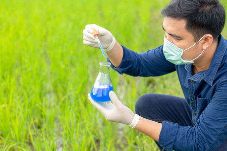 Asian man wearing a mask and gloves examines the water quality in his rice fields with glass tubes.の写真素材