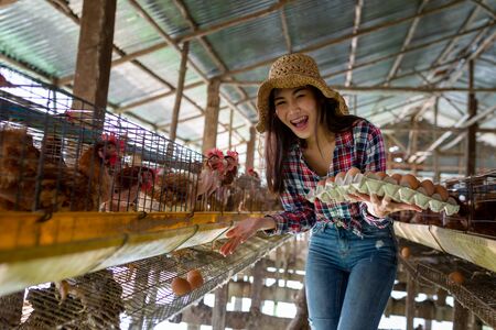 Portrait of young asian woman farmer collect fresh eggs in hands in Eggs chicken farm.の写真素材