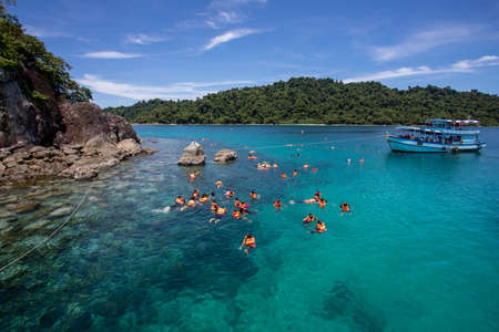 Tourist group snorkeling over coral reef with clear blue ocean water in tropical clear seaの写真素材
