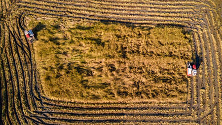 Aerial view on the combine harvester working on the large rice field in thailand