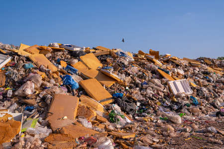 Non-compostable foam at the waste disposal site, global warming.の写真素材