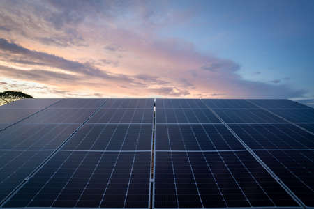 Solar panels against near sunset background. photovoltaic modules for renewable energy for clean...
