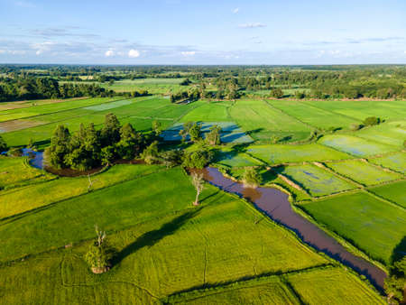 Aerial view of agricultural fields near the reservoir in nongkhai, thailand.の写真素材