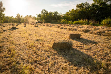 Selective focus grass, agricultural industry, grass harvesting machinery or grass compactor in field. animal feed.の写真素材