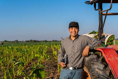 Asian young farmer happily stands beside a tractor in a tobacco plantation. Agriculture.の写真素材