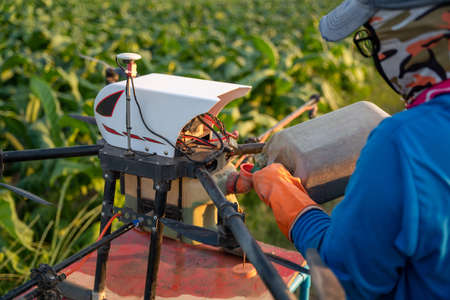 Agriculture drone fly, Farmers are pouring hormonal fertilizer to use with drones to fertilize tobacco fields.の写真素材