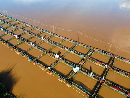 Aerial view of ponds and cages. Tilapia Farming. Tilapia fish. Aquaculture.の写真素材