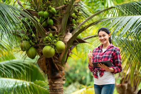Asian female farmer thumbs up with coconut tree at plantation in Thailand. The concept of exporting Thai coconuts. Agriculture technology.の写真素材
