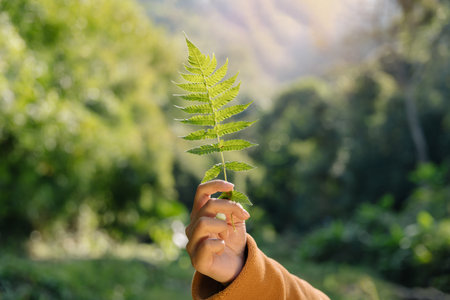 fern leaf in hand and sunshine environment earth day. Nature conservation, environmental protection.の写真素材