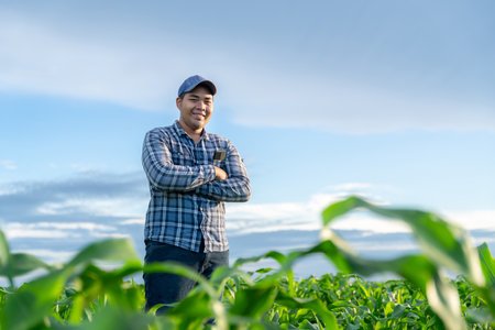 Asian young farmer stands confidently in the growing green corn fields.の写真素材