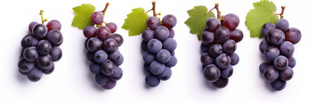 Set of Ripe grapes with leaves isolated on white background.  Generative Aiの素材