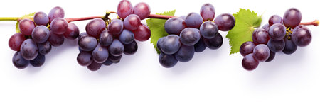 Set of Ripe grapes with leaves isolated on white background.  Generative Aiの素材