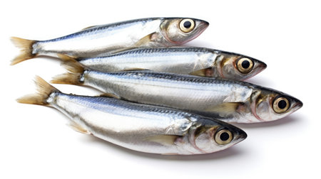 Sardines fish isolated on white background. Sardine fish. Generative Aiの素材