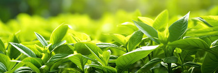 Green leaves, Natural green leaves plants using as spring background cover page greenery environment ecology wallpaper. Generative Ai.の素材