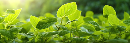 Green leaves, Natural green leaves plants using as spring background cover page greenery environment ecology wallpaper. Generative Ai.の素材