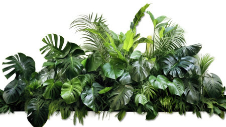 Green leaves, Tropical leaves foliage plant bush floral arrangement nature backdrop isolated on white background. Nature of green leaf. Generative Ai.の素材