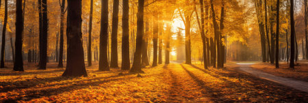Autumn forest road in autumn leaves background. morning sunlight. Generative Aiの素材