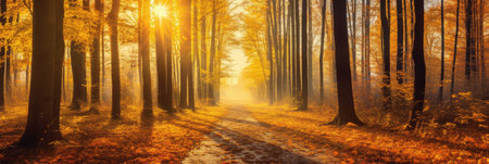 Autumn forest road in autumn leaves background. morning sunlight. Generative Aiの素材