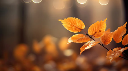 Autumn beech leaves decorate a beautiful nature bokeh background with forest ground. Generative Aiの素材