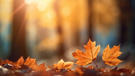 Autumn leaves on the sun and blurred trees for fall background. Generative Aiの素材