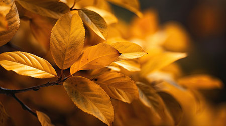 Autumn leaves background. Generative Aiの素材