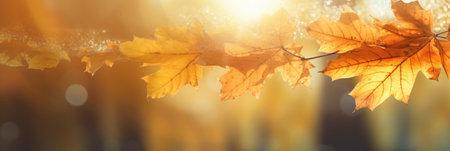 Autumn leaves on the sun and blurred trees for fall background. Generative Aiの素材