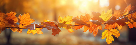 Autumn leaves on the sun and blurred trees for fall background. Generative Aiの素材