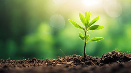 young tree is growing up with sunshine. Generative Aiの素材