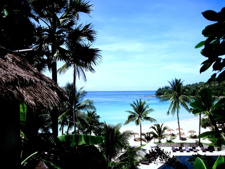 Amazing tropical beach with palm trees and swimming poolの写真素材