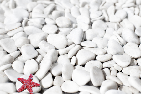 a red starfish on white small stones on a background on the beachの写真素材