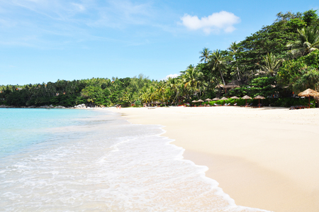 A paradise tropical beautiful beach without people with palm trees  and azure water in the seaの写真素材