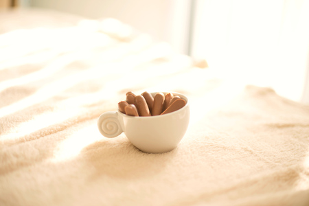 close up of isolated  cup of tasty chocolate biscuits for tea or coffee early in the morning in sunshineの写真素材