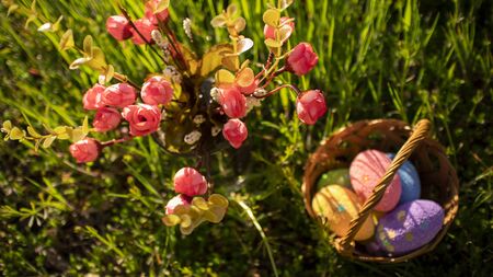 Colorful easter eggs in basket hiding in the green grass with beautiful flowers.  Happy easter, spring holidays. Easter egg hunt for kids.の写真素材