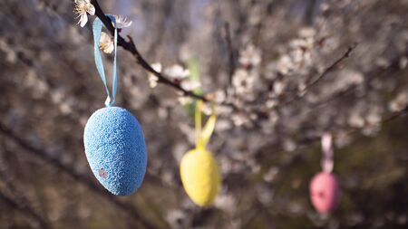 Colorful easter eggs  hiding on the blooming tree. Happy easter, spring holidays. Easter egg hunt for kids.の写真素材