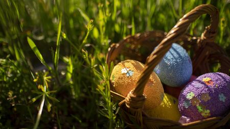 Colorful easter eggs in basket hiding in the green grass. Happy easter time, spring holidays. Easter egg hunt for kids.の写真素材
