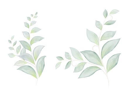 Watercolor set of green leaves and branches elements. Botanical greenery leaf hand-painted isolated. Can be used as being an element in the decorative design of invitation, wedding or greeting cards.のイラスト素材