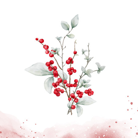 watercolor bouquet of berries branches on splash stain background. elements suitable for decorative Christmas festivals, Winter, New year invitations, or greeting cards.のイラスト素材