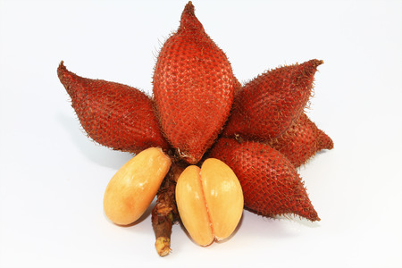Fresh Zalacca fruit on white backgroundの写真素材