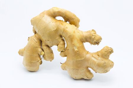 Ginger on white backgroundの写真素材