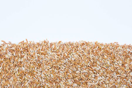 Organic red rice on white backgroundの写真素材