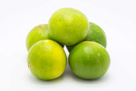 Limes on white backgroundの写真素材